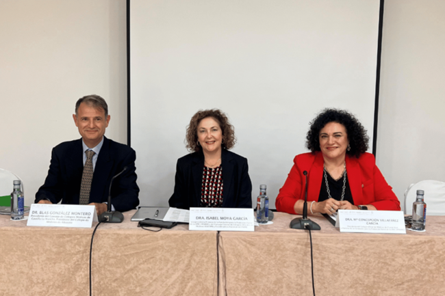 VII Jornadas PAIME. Ciudad Real